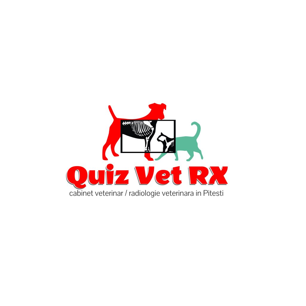 Logo Quiz Vet RX